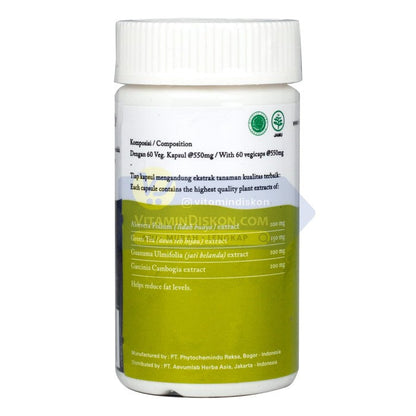 FREE HERBILOGY LESSROL TEA 5 PCS/BOX BPOM UNTUK KESEHATAN TUBUH