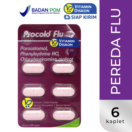 PROCOLD FLU 1 STRIP ISI 6 TABLET