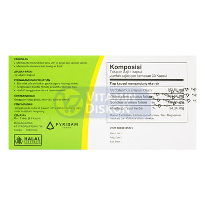 PYRIDAM FARMA ARVEN 30 KAPSUL