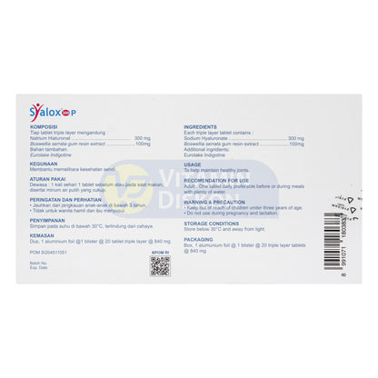 PYRIDAM FARMA SYALOX 300P 20 TABLET