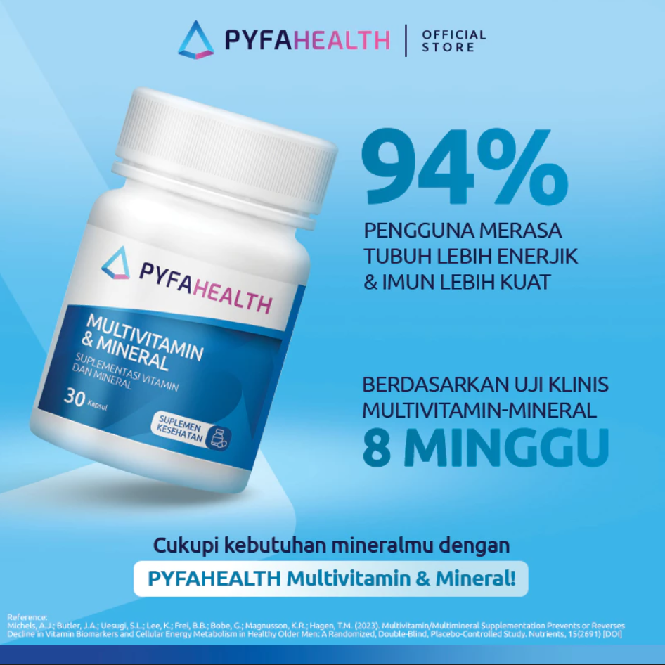PYFAHEALTH MULTIVITAMIN & MINERAL 30 KAPSUL