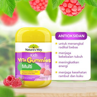 NATURE'S WAY VITA GUMMIES MULTI FOR KIDS 60'S