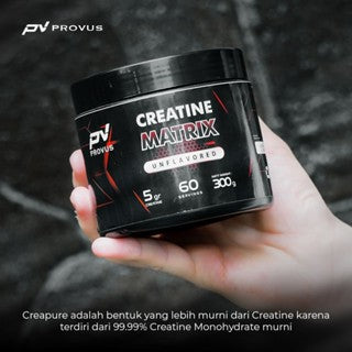 PROVUS CREATINE MATRIX PHARMATICAL GRADE MESH 200 PARTICLE 300GR