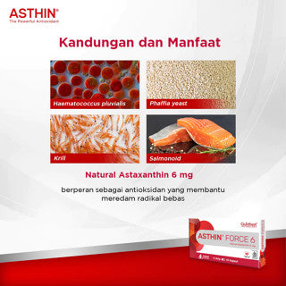 ASTHIN FORCE 6 MG 1 STRIP 10 KAPSUL