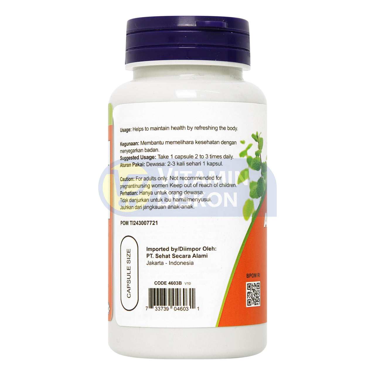 NOW VITAMIN ASHWAGANDHA 90 KAPSUL