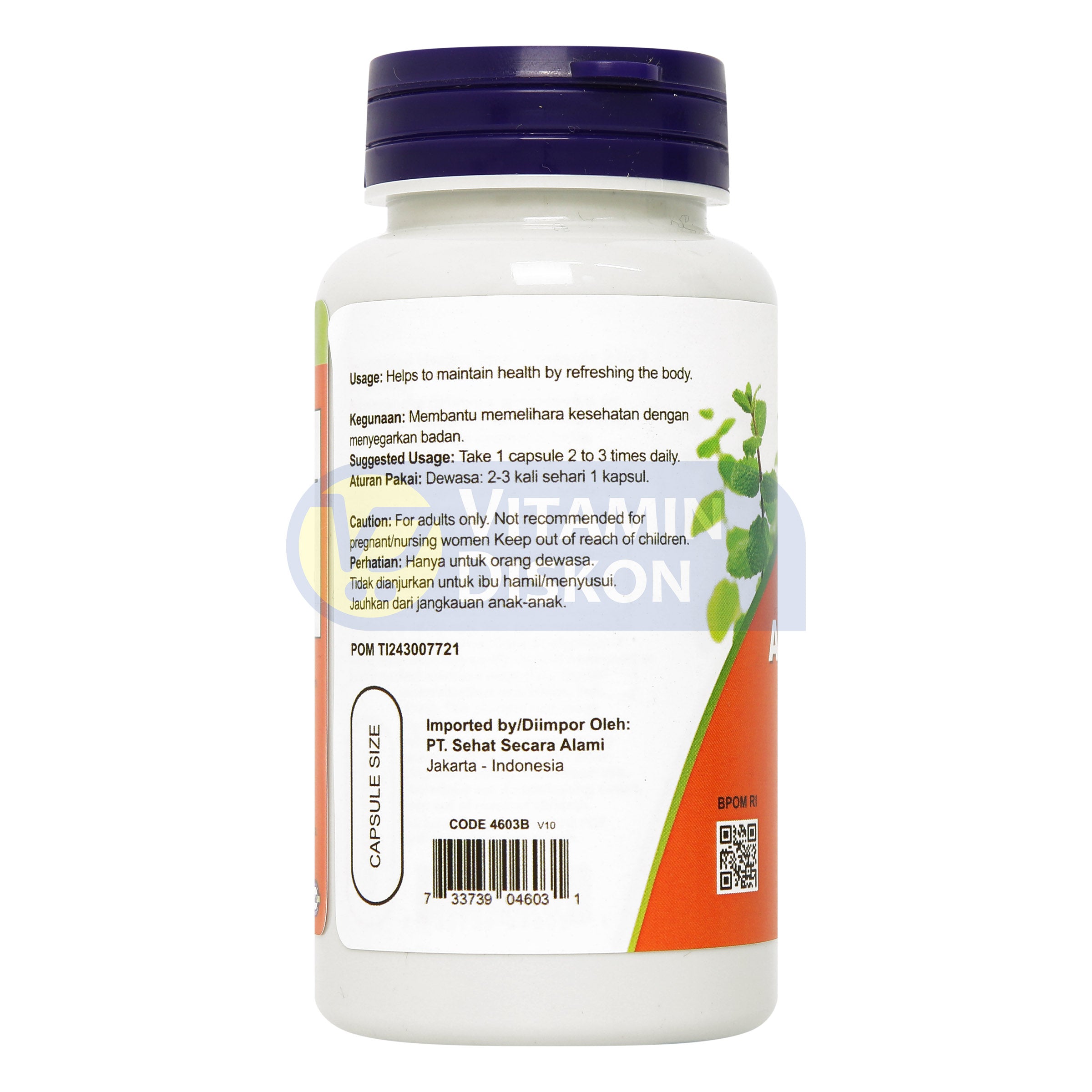 NOW VITAMIN ASHWAGANDHA 90 KAPSUL