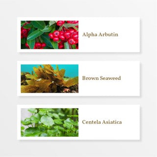 NUTRISHE INTENSIVE BRIGHT AND GLOW SERUM 20ML